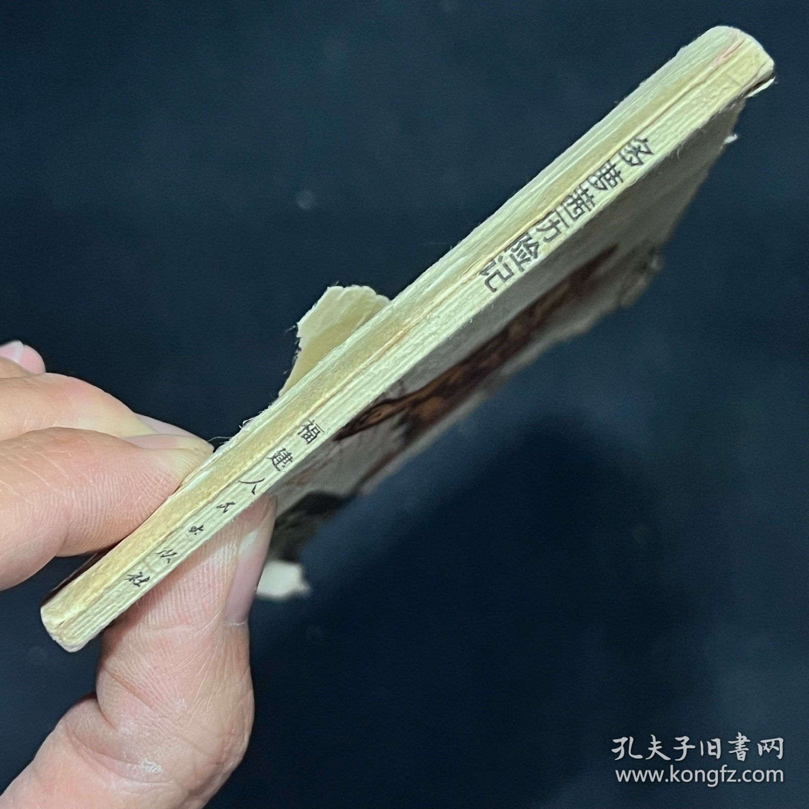 多萝茜历险记（1982年一版一印）