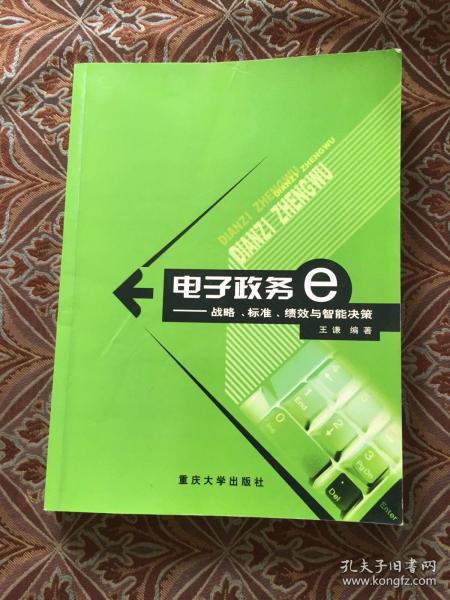 电子政务：战略标准绩效与智能决策