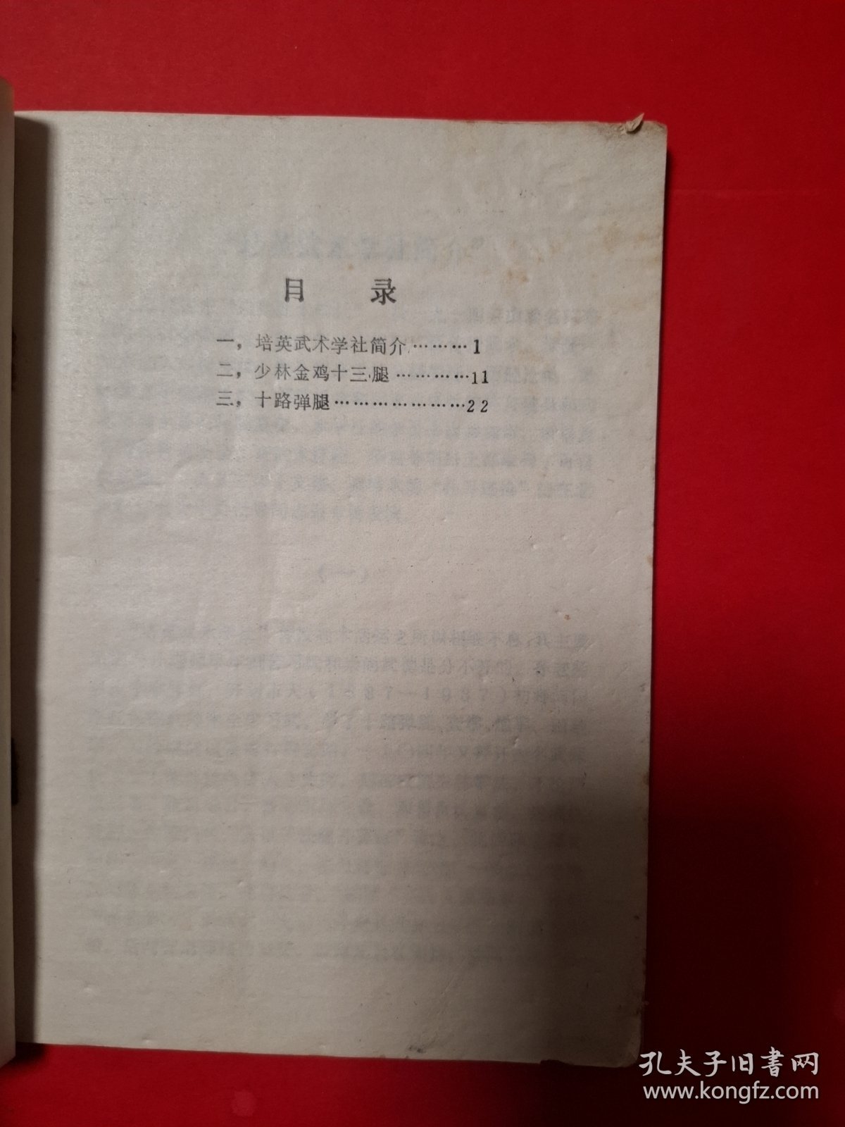 少林金鸡十三腿十路弹腿