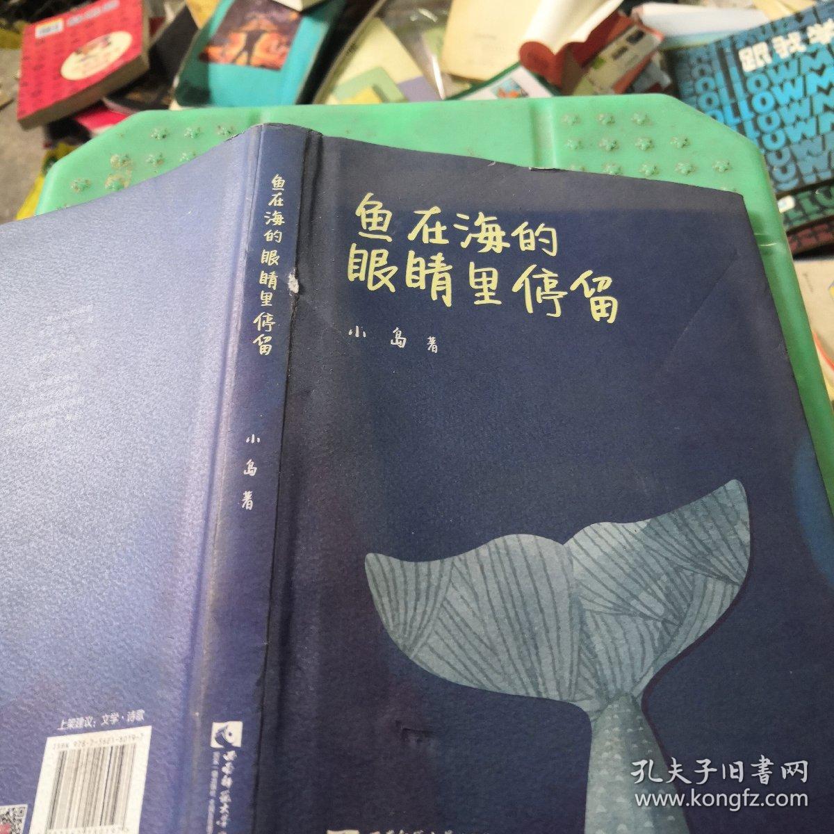 鱼在海的眼睛里停留