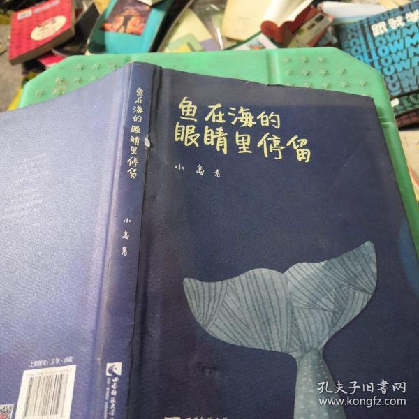 鱼在海的眼睛里停留