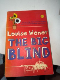 louise wener the big blind（有水印品如图）