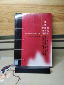 流化床燃燒技術(shù)的工業(yè)應(yīng)用