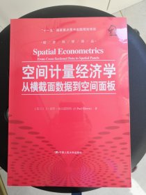 空间计量经济学：从横截面数据到空间面板/经济科学译丛；“十一五”国家重点图书出版规划项目