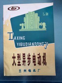 大型异步电动机