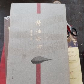 静泊长河