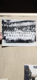 1982年——南京市第六中学59届高三(3）班部分联谊留影——照片