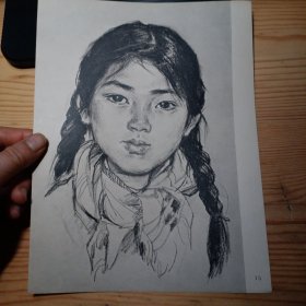 16开人物素描散页画一张
