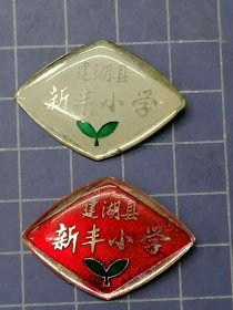江苏省建湖县新丰小学校徽，2个不同