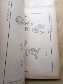 芥子园画传 第二集、第三集