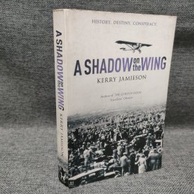 A Shadow on the Wing 翼上的阴影 英文小说