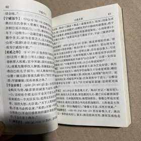汉语工具书系列：常用典故分类词典（第3版）