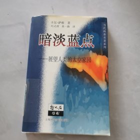 暗淡蓝点：展望人类的太空家园