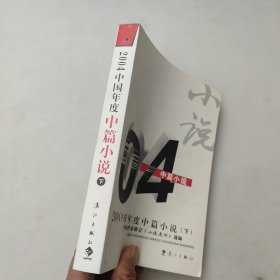 2004中国年度中篇小说（下册）