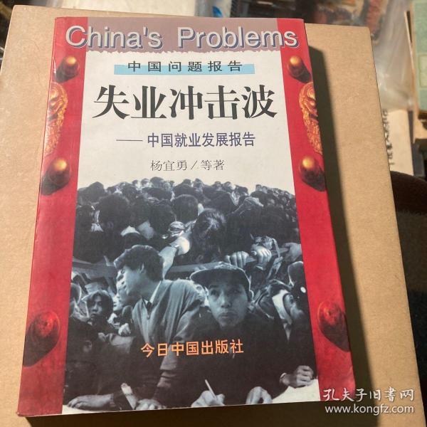 失业冲击波:中国就业发展报告