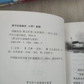曹文轩小说阅读与鉴赏：青铜葵花