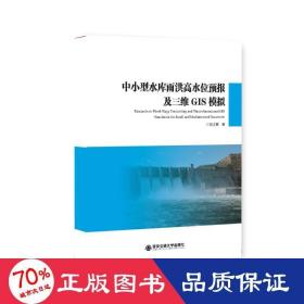 中小型水库雨洪高水位预报及三维GIS模拟