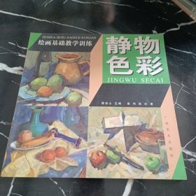 绘画基础教学训练：静物色彩