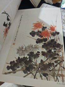 举一反三：画菊花