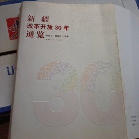 新疆改革开放30年通览