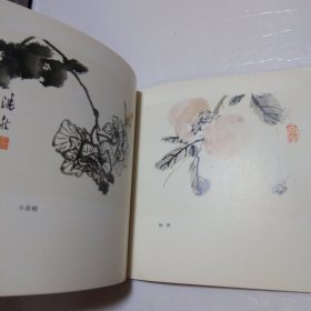 潘君诺花虫小品集