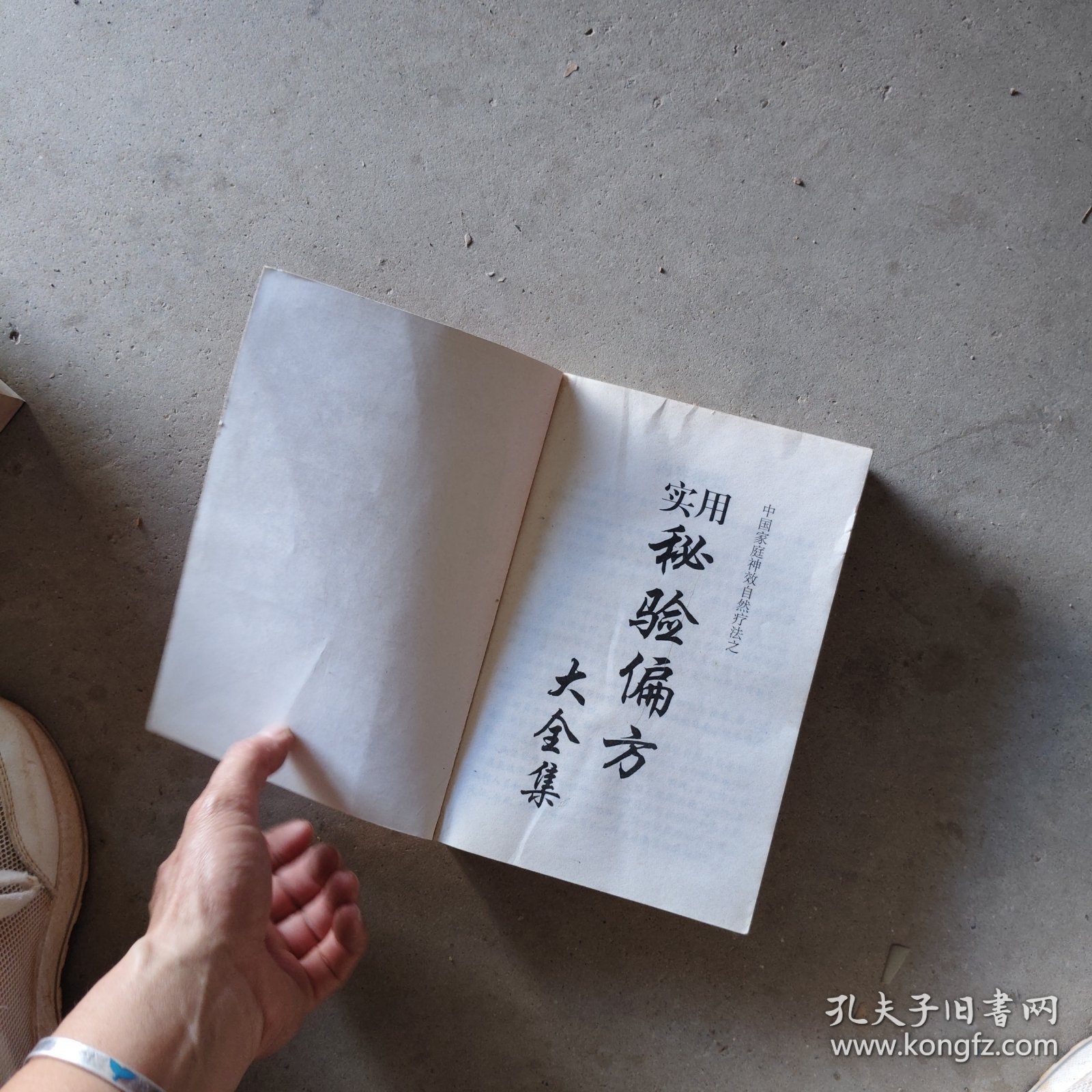 中医启蒙夜话