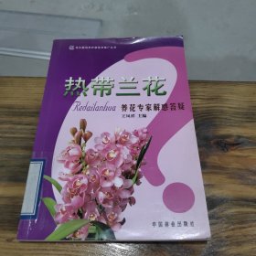 热带兰花：养花专家解惑答疑