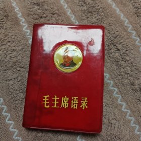 《毛主席语录》内页字迹，看图相。