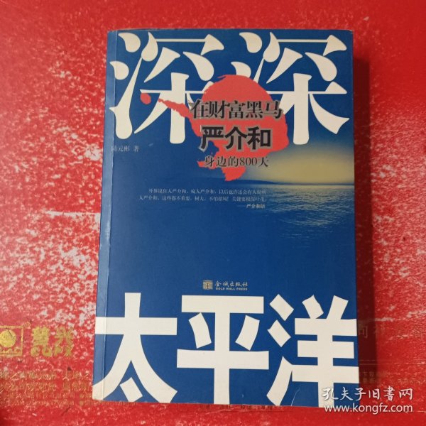 深深太平洋：在财富黑马严介和身边的800天