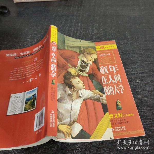 最畅销中外名著名家导读本：童年 在人间 我的大学（全彩青少版）