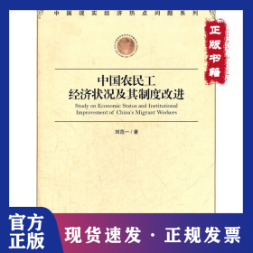 中國農(nóng)民工經(jīng)濟狀況及其制度改進 9787509618431