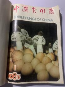 中国食用菌合刊 1985年至1992年，1994年至1997年12本合售