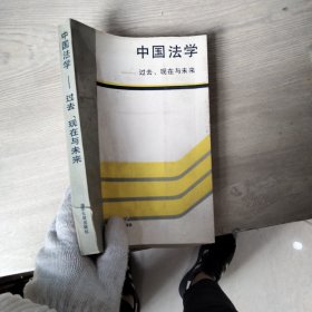 中国法学:过去、现在与未来