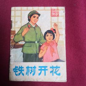 铁树开花F2