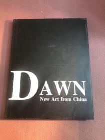 DAWN：New Art from China