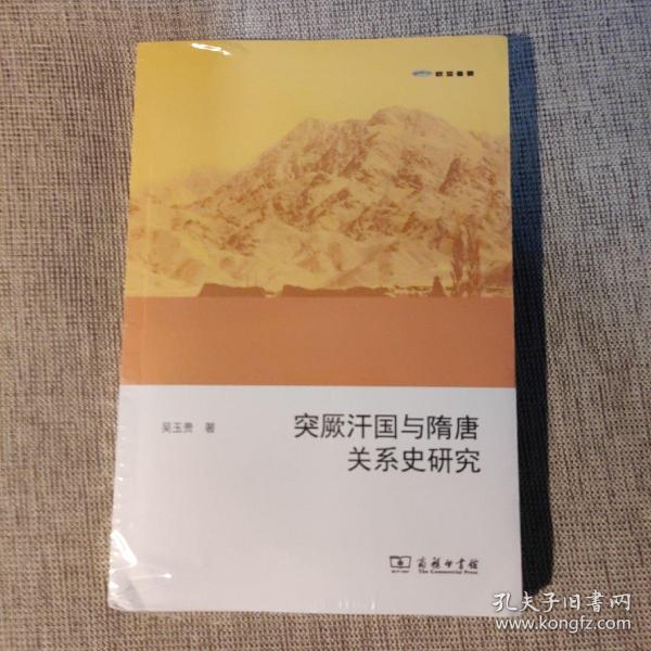 欧亚备要：突厥汗国与隋唐关系史研究