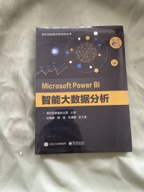 MicrosoftPowerBI智能大数据分析