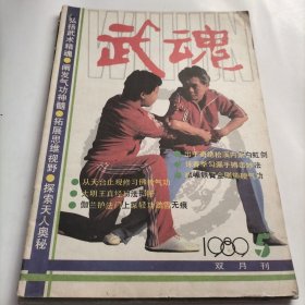 武魂，华佗，武门精粹，松溪派内家剑术，咏春拳，搏击术，武林，六合螳螂拳，技击手法，岳氏心意十二形拳，峨眉铁臂金刚锤功法，太极拳，功夫，宋氏形意拳，养生，功法，佛教气功，技击，武术，轻功，练功，武侠小说，