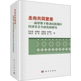 走向共同繁荣——新形势下推动民族地区经济社会全面发展研究