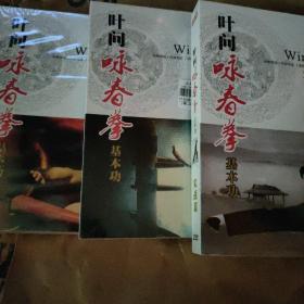 叶问，咏春拳（入门篇，实战篇，升级篇）均为2碟装DvD