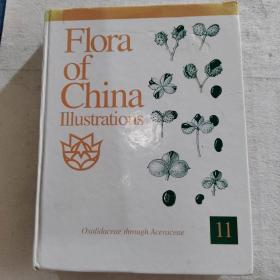 中国植物志图谱 第11卷（英文版）