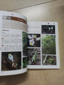 中草药识别与应用（中册）