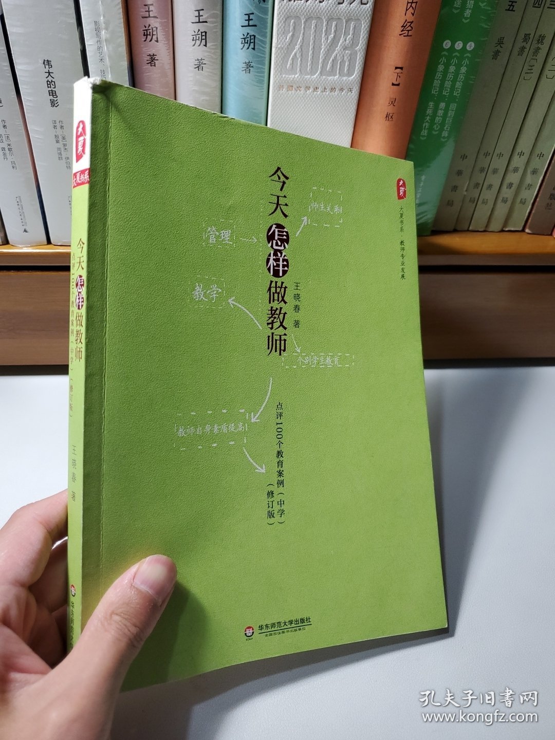 大夏书系·今天怎样做教师：点评100个教育案例（中学）（修订版）