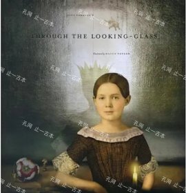 价可议 Through the Looking Glass and What Alice Found There twdzxdzx