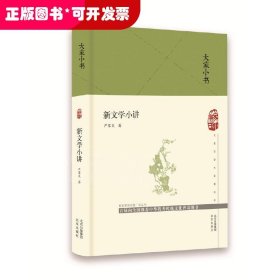 大家小书 新文学小讲