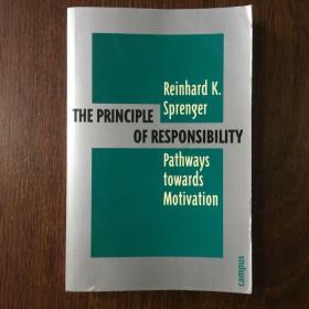 THE PRINCIPLE OF RESPONSIBILITY