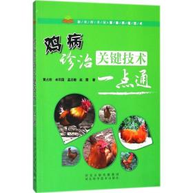 鸡病诊治关键技术一点通