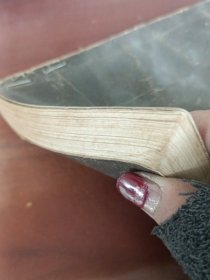 醉杏楼下山河泪