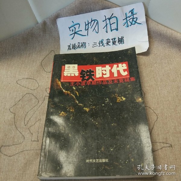 黑铁时代：王小波早期作品及未竟稿集