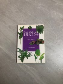 家庭观赏水草